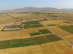 دیدار سهامداران دیدار سهامداران