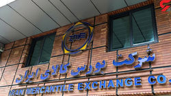 نقدی به بورس کالا/ سازمان پیگیر مداخلات دولت باشد نقدی به بورس کالا/ سازمان پیگیر مداخلات دولت باشد