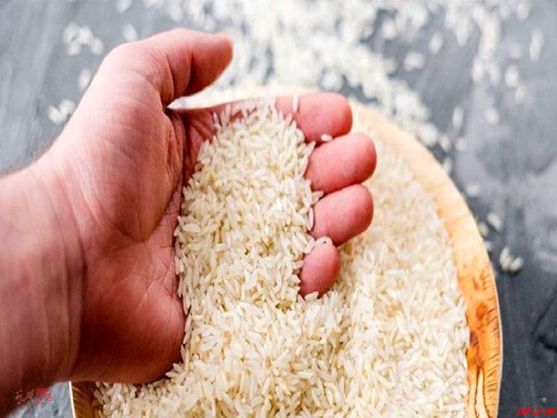 ممنوعیت واردات برنج از نیمه آبان ماه