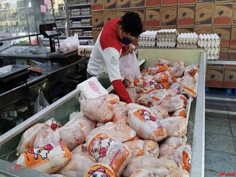 قیمت هر کیلو مرغ گرم عمده ۴۹ هزار تومان