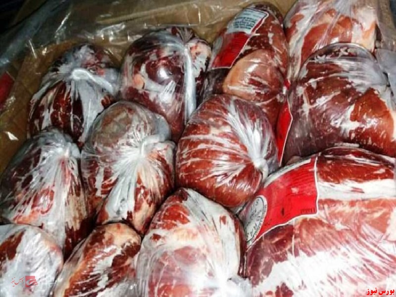 گوشت منجمد تنظیم بازاری عرضه شد