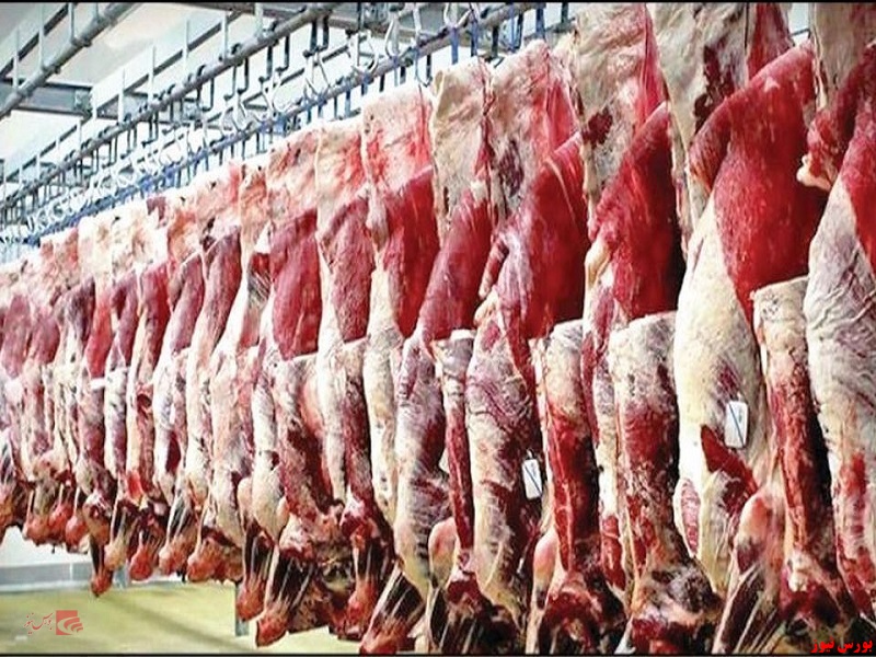 اعلام نرخ مصوب گوشت گوسفندی و گوساله منجمد و گرم