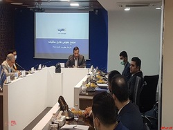 سرمایه