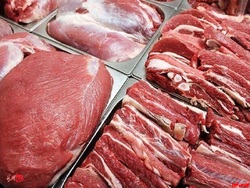 گوشت گرم وارداتی توزیع می شود