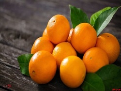 پرتقال مازندران به چین صادر می شود