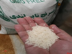 افزایش صادرات برنج تایلند در ماه ژانویه