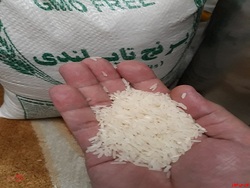 افزایش صادرات برنج تایلند در ماه ژانویه افزایش صادرات برنج تایلند در ماه ژانویه