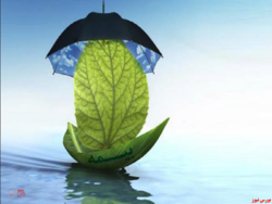 افزایش سرمایه