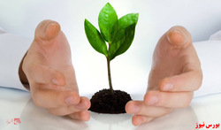 اظهارنظر حسابرس بر گزارش سرمایه