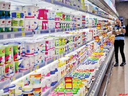 حذف عوارض صادراتی برخی از محصولات لبنی و پروتئینی