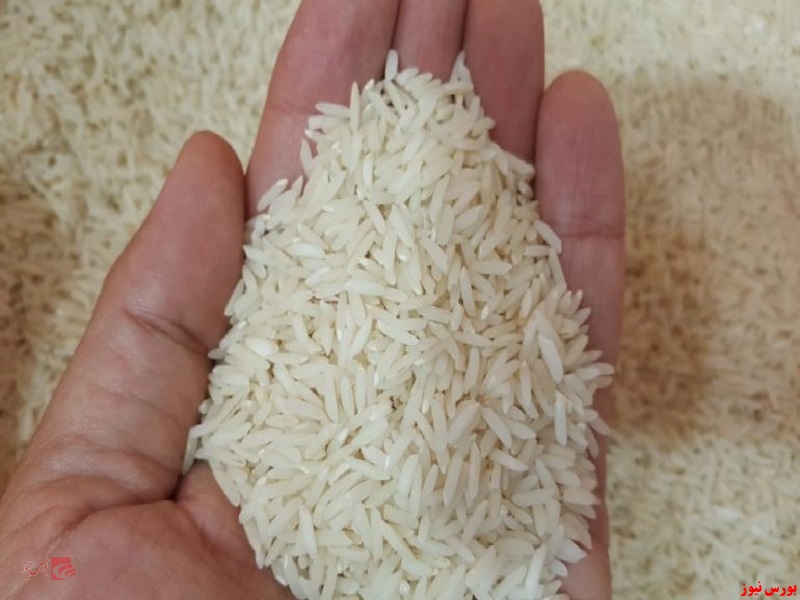 کاهش ۱۰ هزارتومانی قیمت در بازار برنج