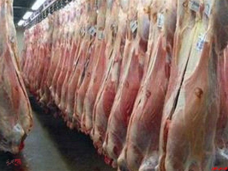 افزایش دو برابری عرضه گوشت در بازار