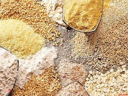 همه چیز درباره واردات نهاده یک شرکت خصوصی از روسیه همه چیز درباره واردات نهاده یک شرکت خصوصی از روسیه
