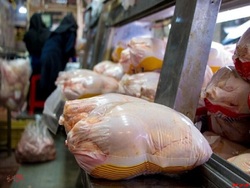 گوشت مرغ باید کمتر از نرخ مصوب به دست مصرف‌کننده برسد