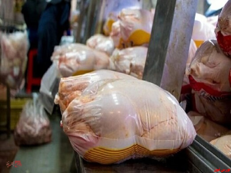 دلایل کاهش قیمت مرغ در بازار به زیر ۵۰ هزارتومان