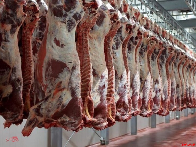 قیمت روز گوشت قرمز + جدول
