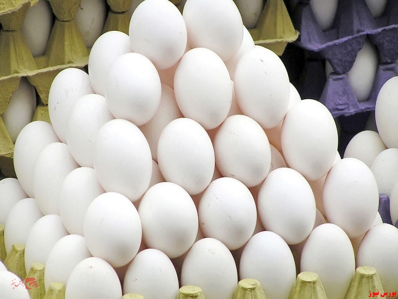 کاهش ۲۰ درصدی قیمت مصوب هر کیلو تخم‌مرغ