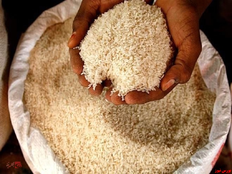 تثبیت قیمت برنج در سال آینده