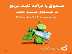 همه آنچه که باید در مورد صندوق با درآمد ثابت ترنج بدانید