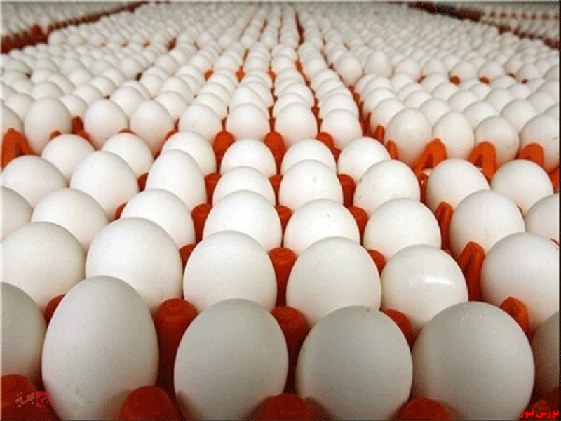 کاهش ۵ هزارتومانی قیمت هر شانه تخم مرغ