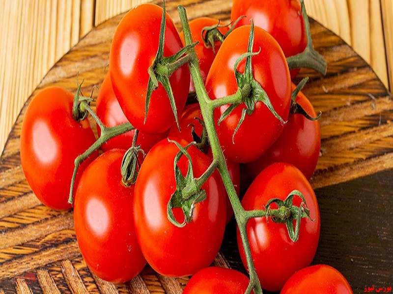 پیاز و گوجه فرنگی مشمول عوارض صادراتی