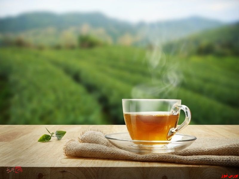 اخبار ممنوعیت واردات چای اشتباه است