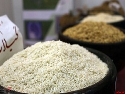 کاهش قیمت ۱۵ درصدی برنج ایرانی