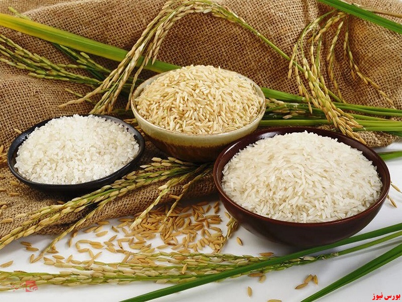 عرضه برنج در بورس کالا بدون واسطه