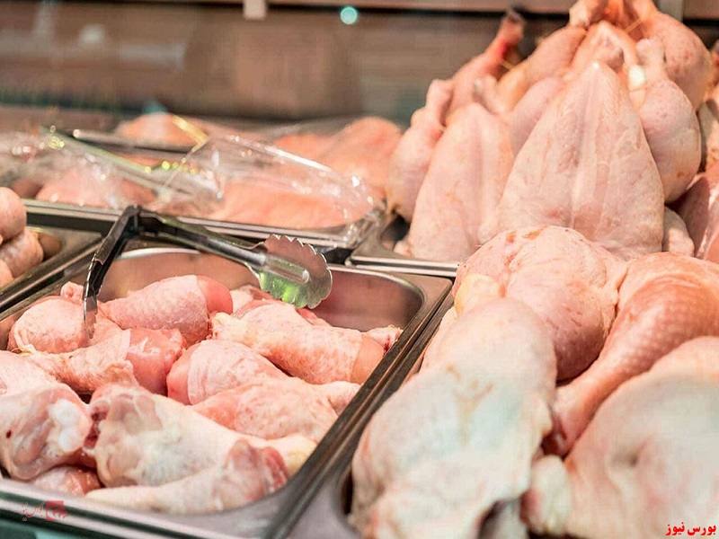 قیمت عمده مرغ بین ۴۸ تا ۵۰ هزار تومان است