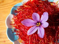 گشایش انبار جدید زعفران در بورس کالا