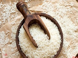 واردات ۱۰۰ هزار تن برنج ضروری است