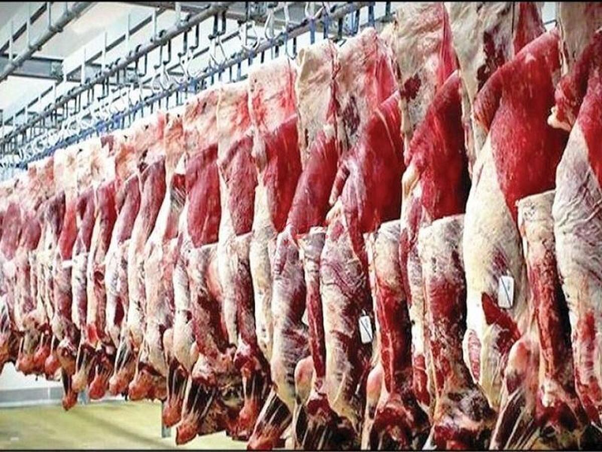 قیمت روز گوشت قرمز - ۱۱ بهمن ماه ۱۴۰۲ + جدول
