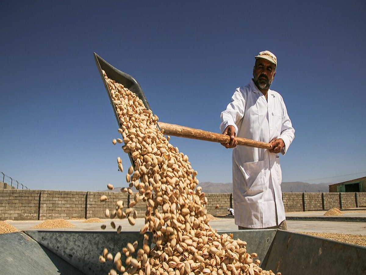 هشدار به سهامداران: پسته های شب عیدتان را از بورس نخرید! هشدار به سهامداران: پسته های شب عیدتان را از بورس نخرید!