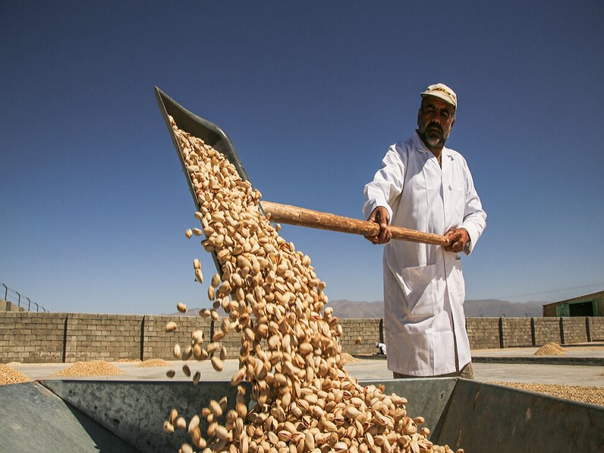 هشدار به سهامداران: پسته های شب عیدتان را از بورس نخرید!