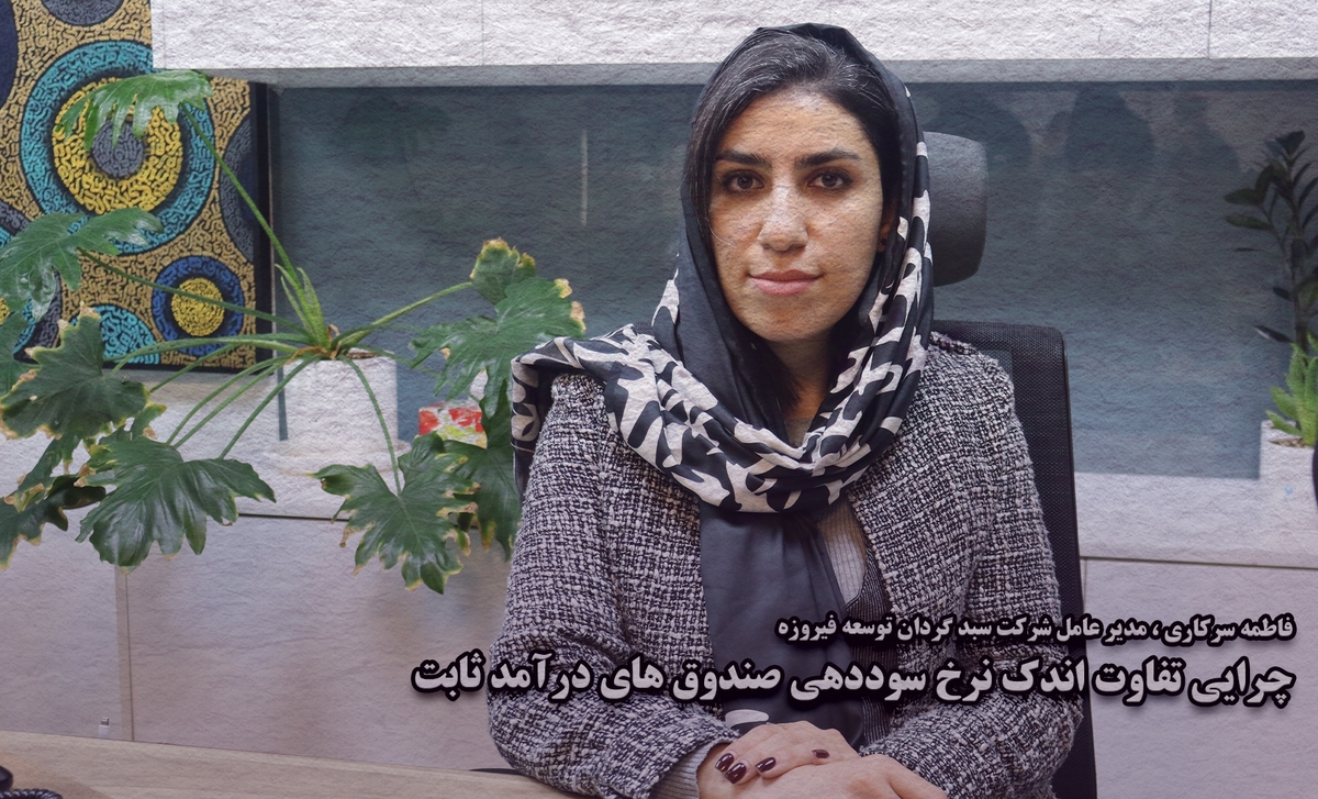 چرایی تفاوت اندک نرخ سوددهی صندوق های درآمد ثابت چرایی تفاوت اندک نرخ سوددهی صندوق های درآمد ثابت