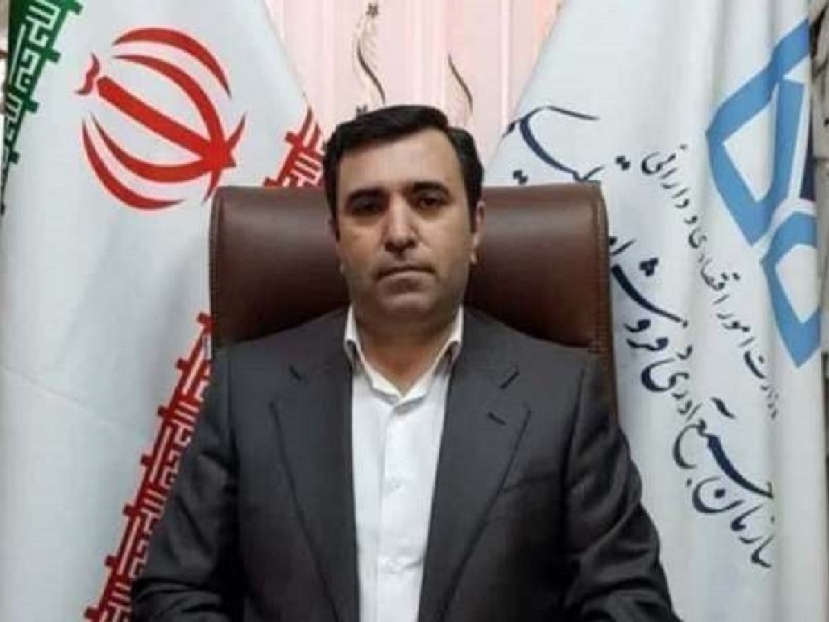 تعیین تکلیف تعداد ۷۹۷ پرونده کالا در سال جاری