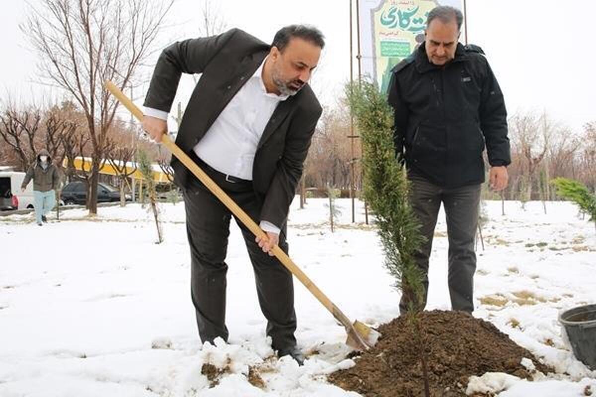 غرس نهال از سوی مدیرعامل شاراک