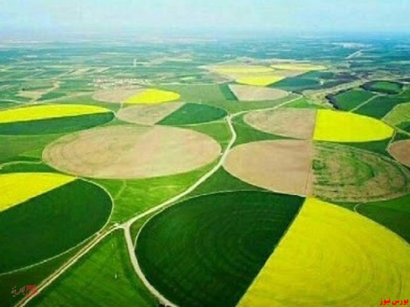 دادگاه به نفع دادگاه به نفع