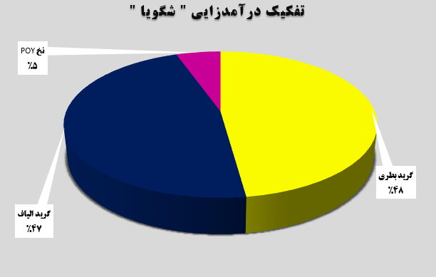 بررسی عملکرد ماهانه