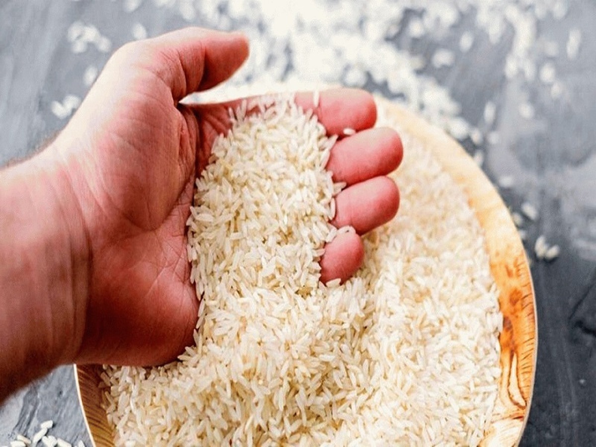 ثبت سفارش جدید برای واردات برنج انجام نشده است ثبت سفارش جدید برای واردات برنج انجام نشده است