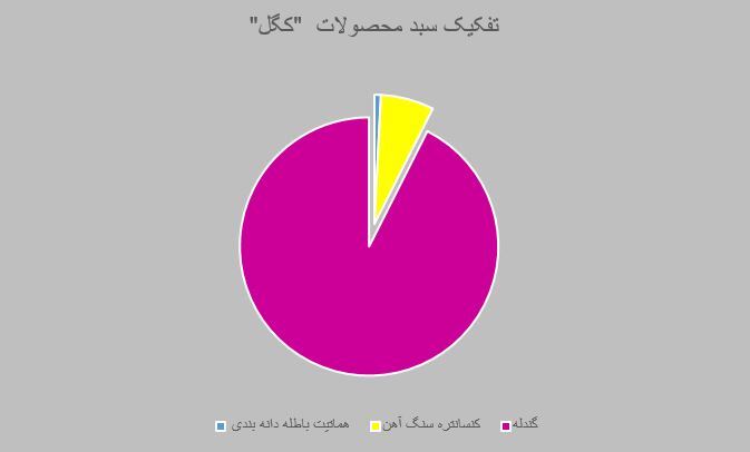 پله های ترقی زیر قدم های