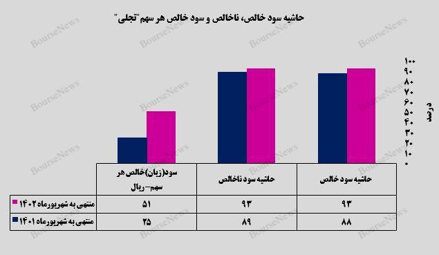 افزایش ۱۰۷ درصدی سود خالص شرکت تجلی توسعه معادن و فلزات