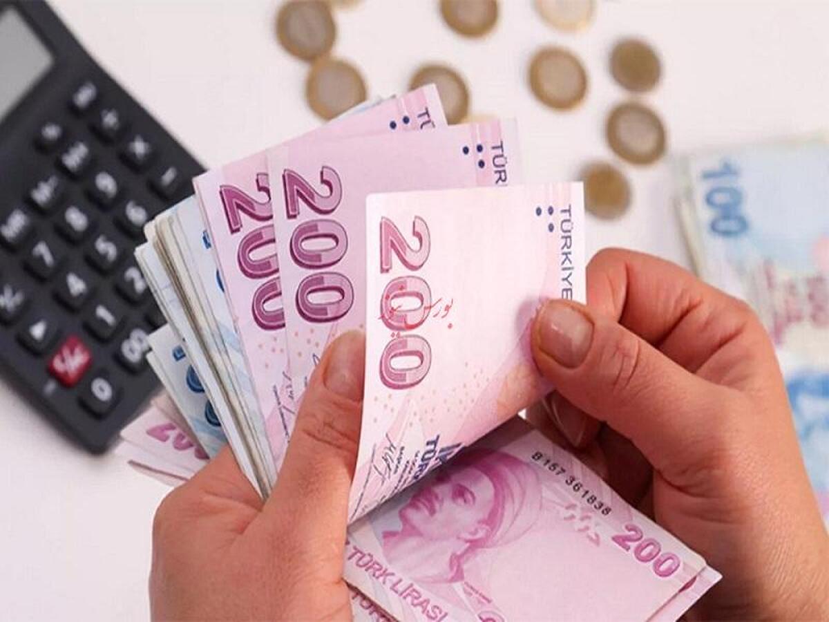 افزایش ۵۲ درصدی سود بانکی ترکیه