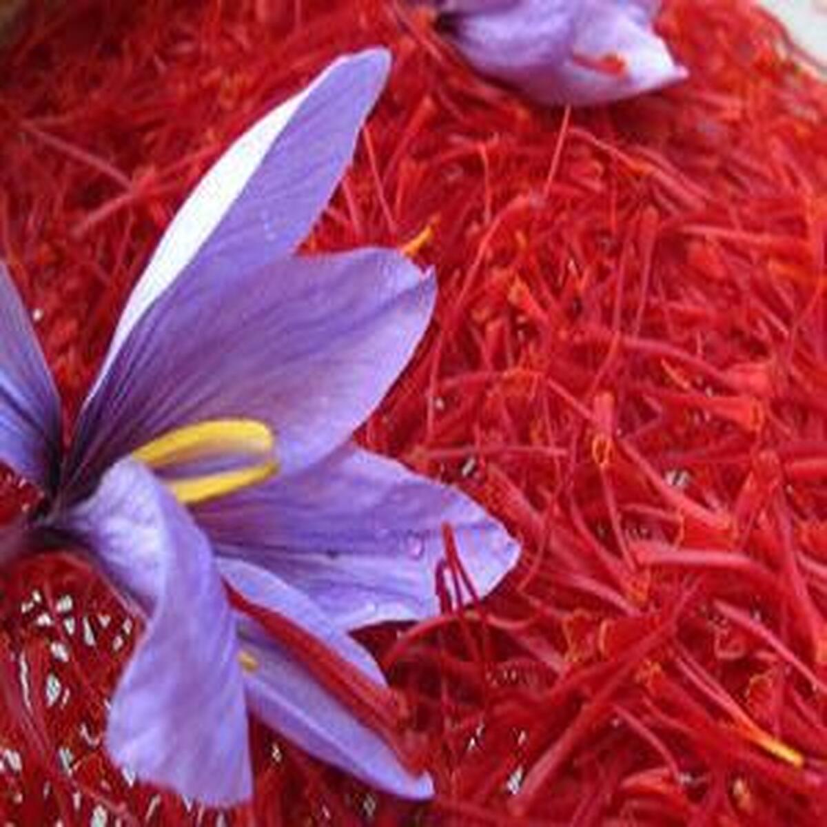 قیمتهای جدید زعفران؛ حداقل و حداکثر تعیین شد