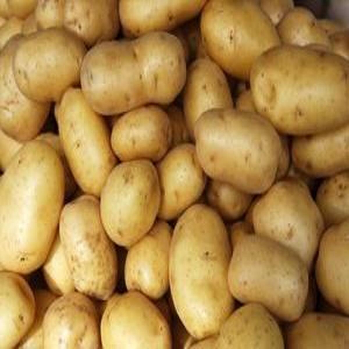 قیمت جدید سیبزمینی وارداتی منتشر شد
