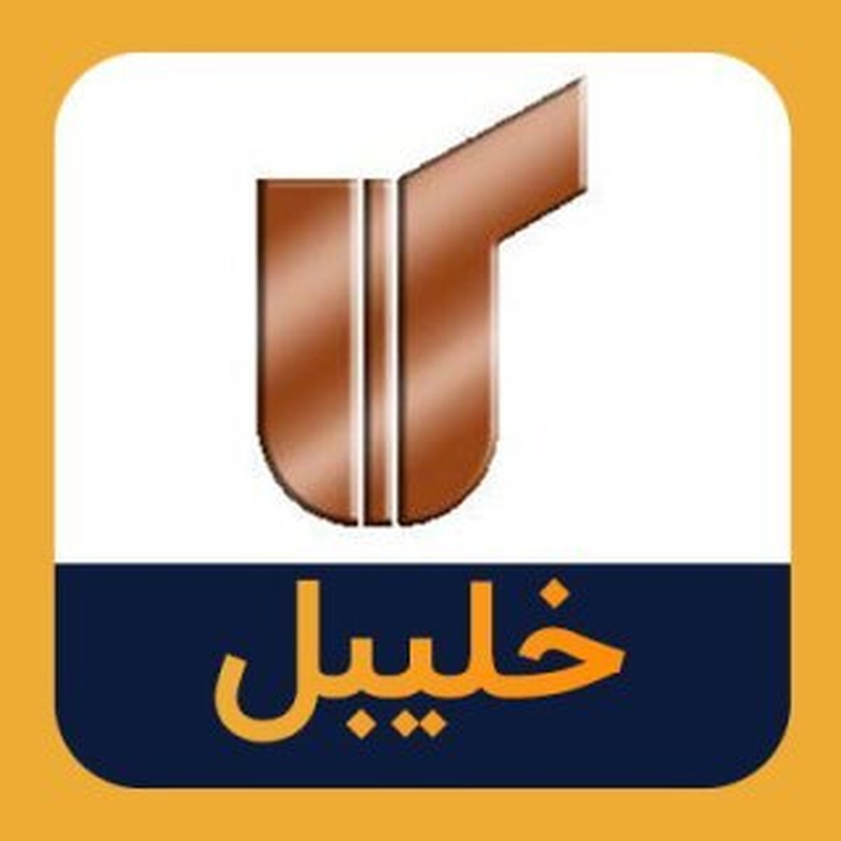 سهامداران 