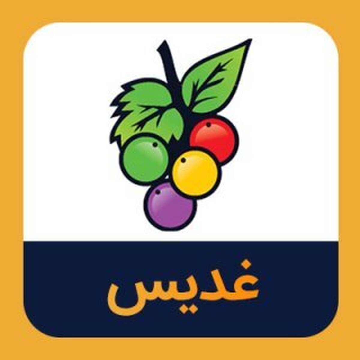 سهامداران سهامداران