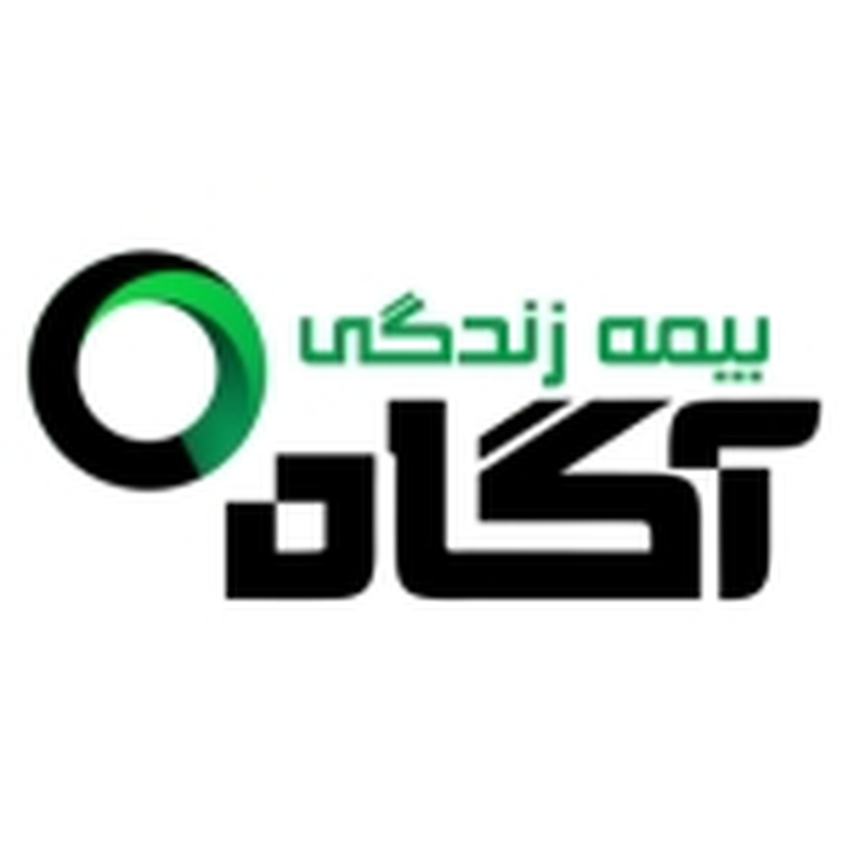سهامداران سهامداران