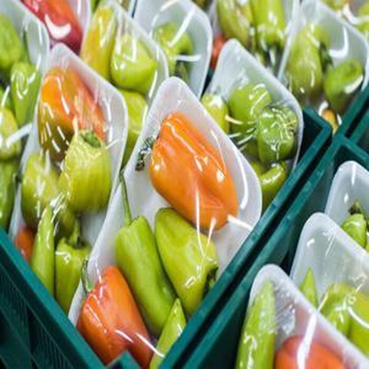 صادرات ۵۰۰ هزار تن محصولات گلخانه‌ای به بازارهای جهانی