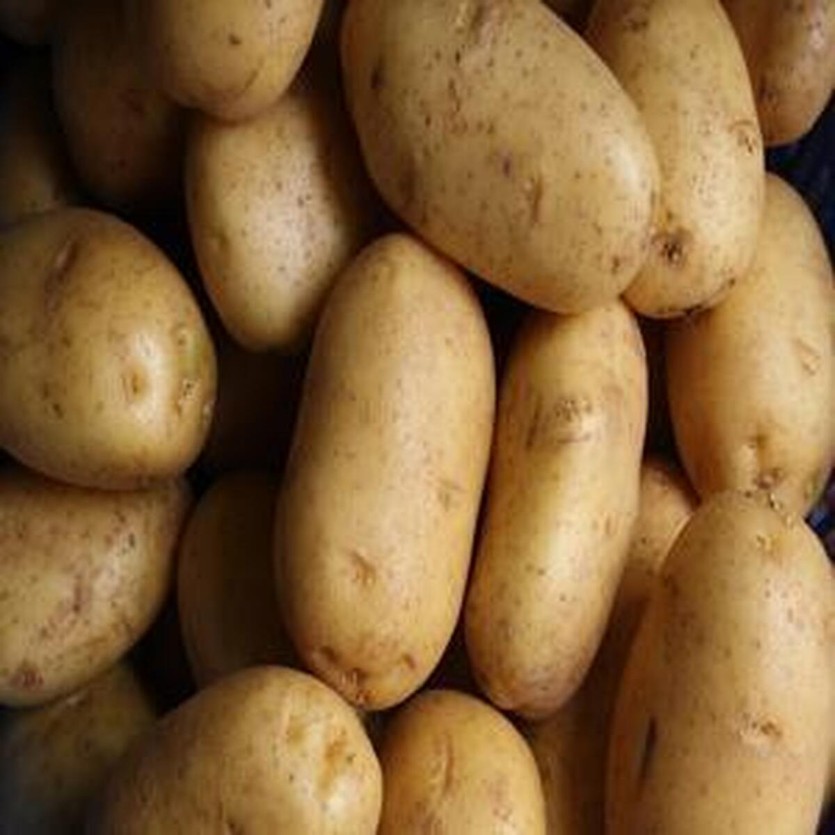 افزایش قیمت و کمبود سیب‌زمینی در بازار